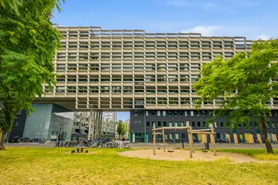 Borneolaan , 1019HX, Amsterdam, Noord-Holland