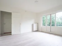 Thorbeckelaan, Den Haag