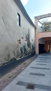 Walburgpassage, Weert