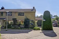 Waterlelie 67, Gouda