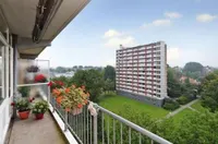 Elviraland, Den Haag