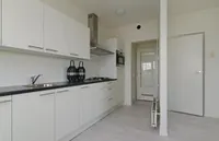 Elviraland, Den Haag