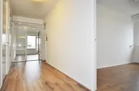 Dignaland, Den Haag
