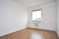 Dignaland, Den Haag