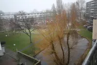 Arendshorst, Leiden