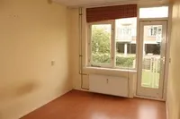 Vlinderstraat, Rotterdam