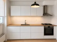 Hermelijnvlinder, Diemen