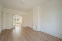 Perziklaan, Den Haag