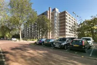 Fluitekruidweg, Zaandam