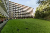 Fluitekruidweg, Zaandam