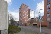 Teakhout, Zaandam