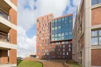 Teakhout, Zaandam