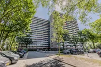 Oost-Dorsch 142, Zaandam