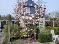 Vossenbeshof 4, Apeldoorn
