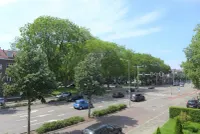 Hertogsingel, Maastricht