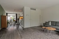 Vlinder, Veldhoven