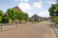Goudplevier 2, Raalte