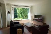 De Lairesselaan, Rotterdam