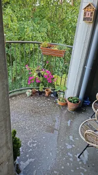 Heesterveld, Amsterdam