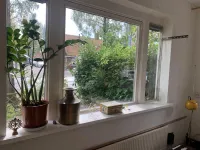 Volendammerweg, Amsterdam