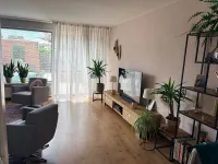 Kasselbruin, Zoetermeer