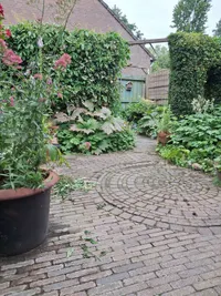 Koningstraat, Rosmalen