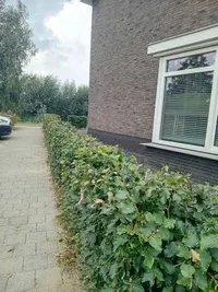Brederode, Andel
