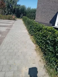 Brederode, Andel