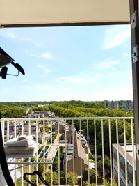 Wederikstraat, Alphen aan den Rijn