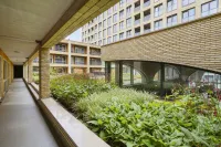 Delflandlaan, Amsterdam