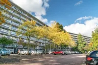 Zijldonk, Leiden