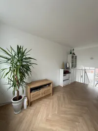 Pieter Bothstraat, Den Haag