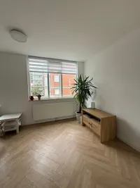 Pieter Bothstraat, Den Haag