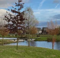 Loopkever, Vlijmen
