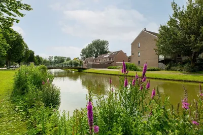 Wiardapad , 3052SZ, Rotterdam, Zuid-Holland