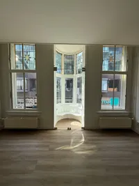 Krabbendampad, Eindhoven