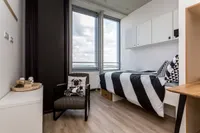 De Lampendriessen, Eindhoven