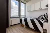 De Lampendriessen, Eindhoven