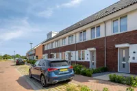 Reuzenotter 8, Boxtel