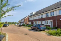 Reuzenotter 8, Boxtel