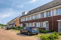 Reuzenotter 8, Boxtel