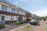 Reuzenotter 8, Boxtel