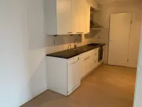 Hermelijnvlinder, Diemen