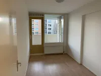 Hermelijnvlinder, Diemen