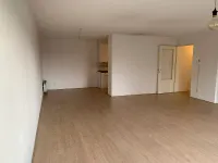Hermelijnvlinder, Diemen
