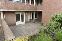 Zwolsestraat, Den Haag
