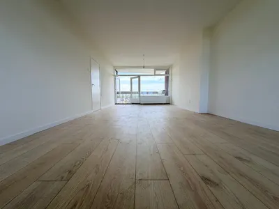 Stokroosstraat , 2565BN, Den Haag, Zuid-Holland