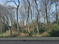 Delistraat, Den Haag