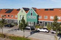 Beemdgras 48, Assendelft