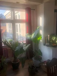 Kloveniersburgwal, Amsterdam